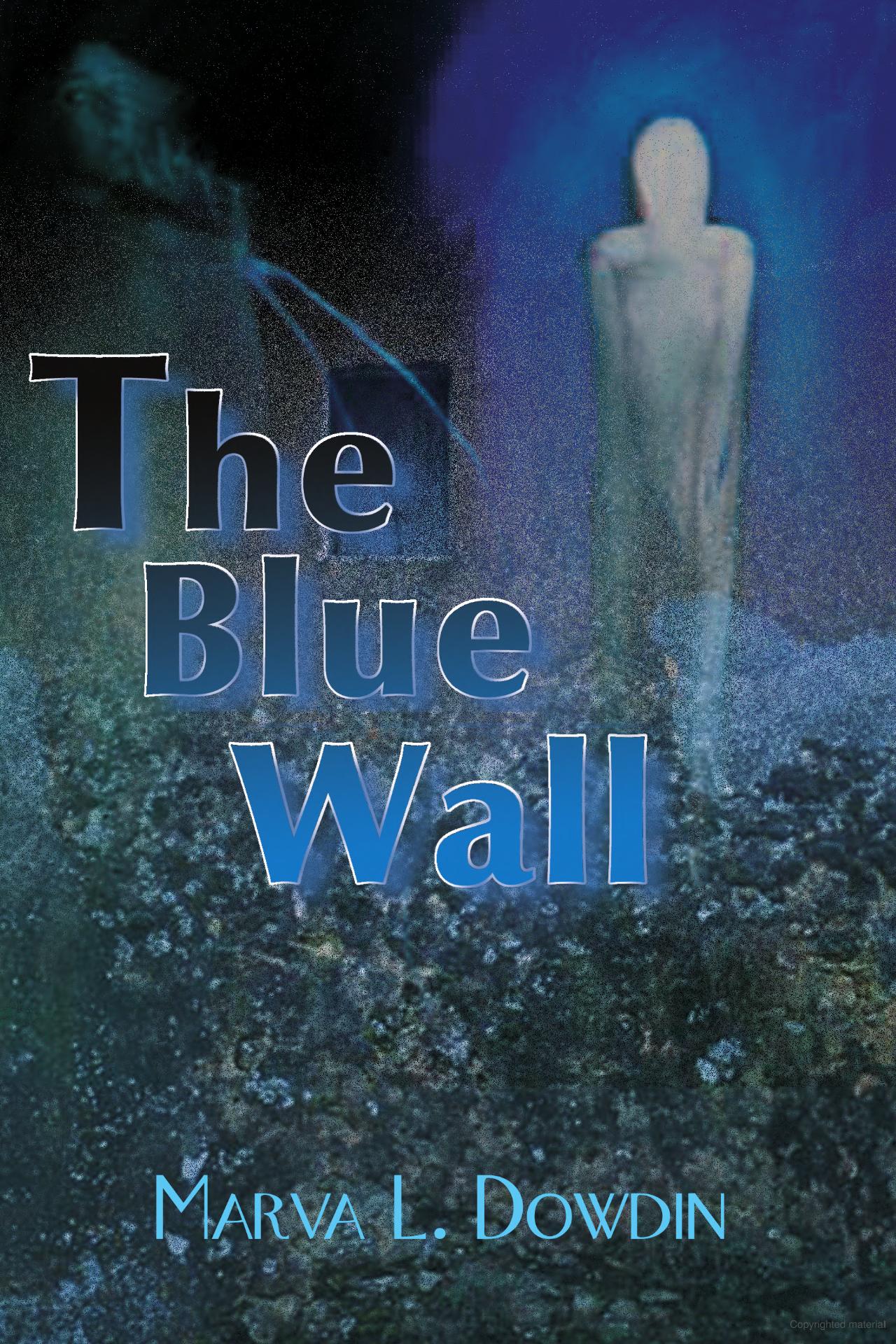 The Blue Wall book cover